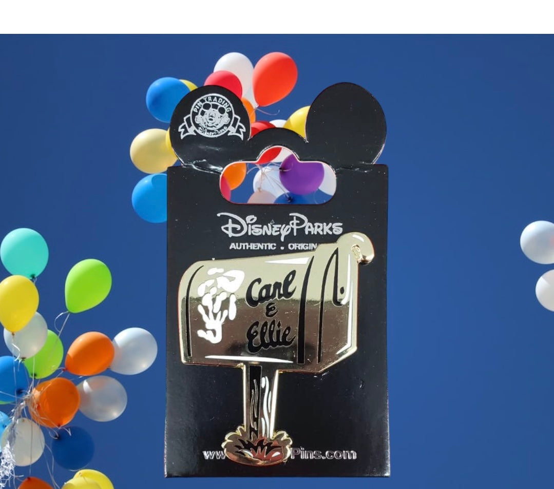 DISNEY UP pin π
