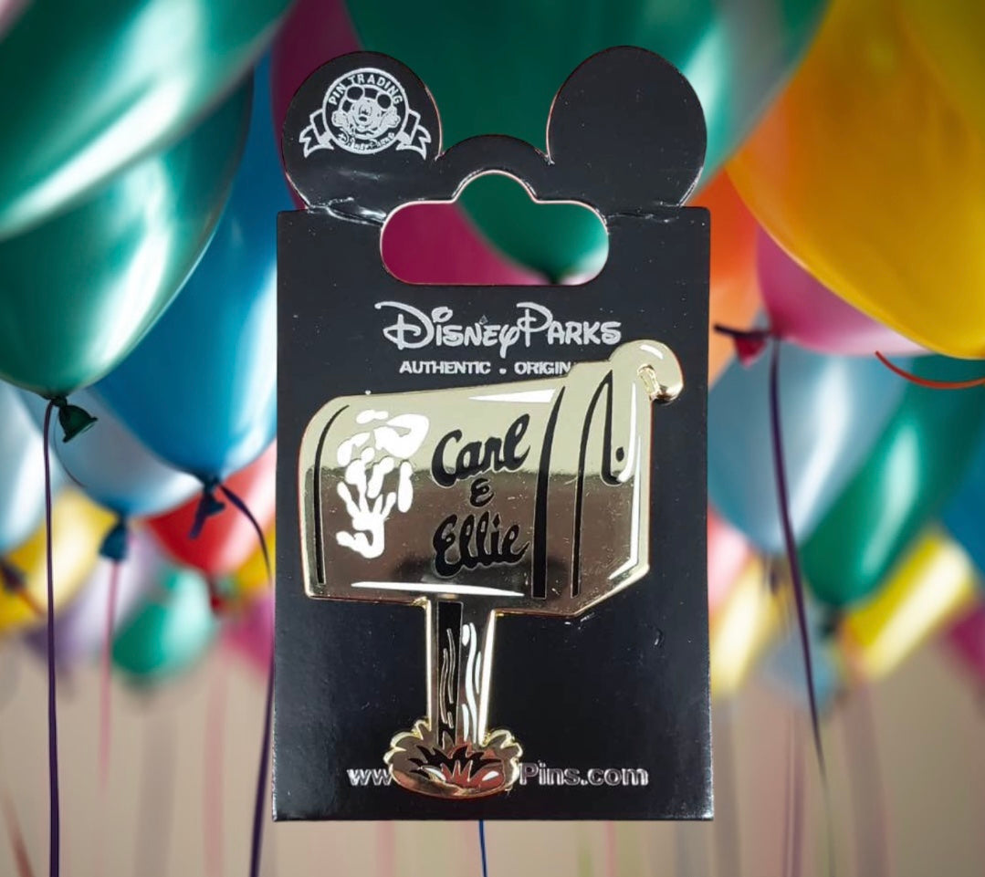 DISNEY UP pin π